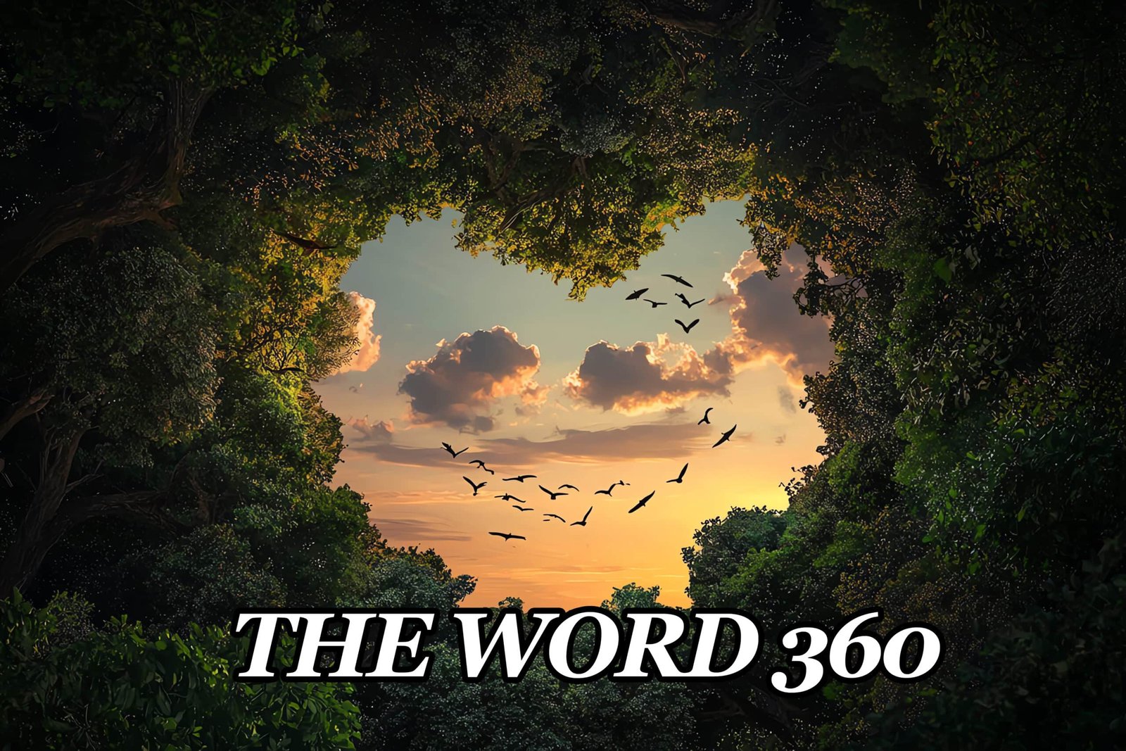 The Word 360.1